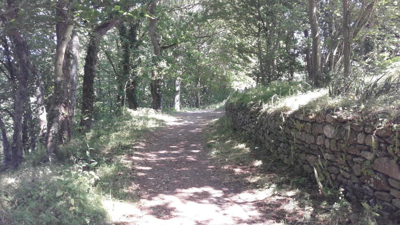 Notre-Dame-du-GuildoAu Guildo, Proche Gr34别墅 外观 照片